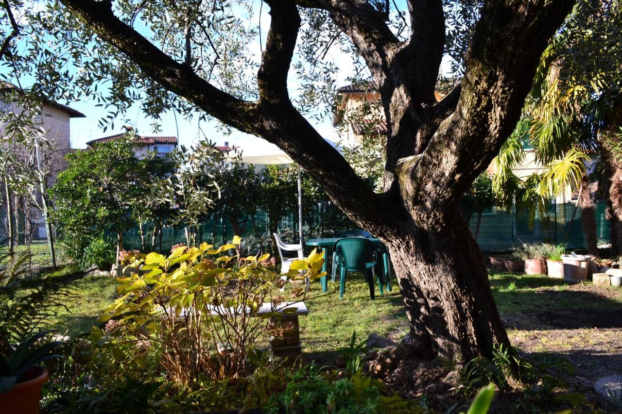 B&B Casa Mia Desenzano del Garda Eksteriør billede